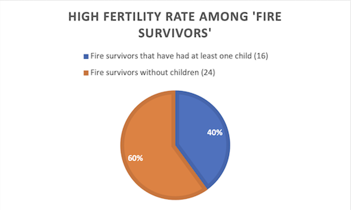 Pie Chart 2