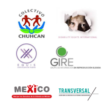 Colectivo Chuhcán, Disability Rights International, EQUIS Justice for Women, Information Group on Elected Reproduction, Transversal, Action on the Rights of People with Disabilities, Mexico Children’s Rights Network